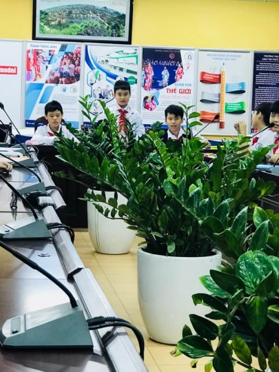Vòng Chung Kết Quốc Gia Kỳ Thi Olympic Toán Học Quốc Tế Timo 2020-2021
