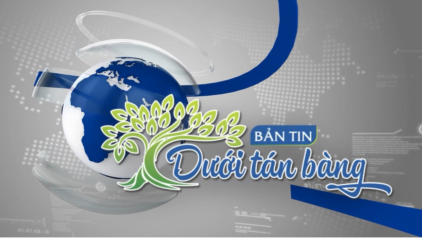[BẢN TIN DƯỚI TÁN BÀNG T5 - SỐ ĐẶC BIỆT]