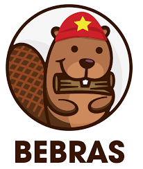 CẤP QUỐC GIA KẾT QUẢ VÒNG 2 KÌ THI THÁCH THỨC TƯ DUY THUẬT TOÁN BEBRAS