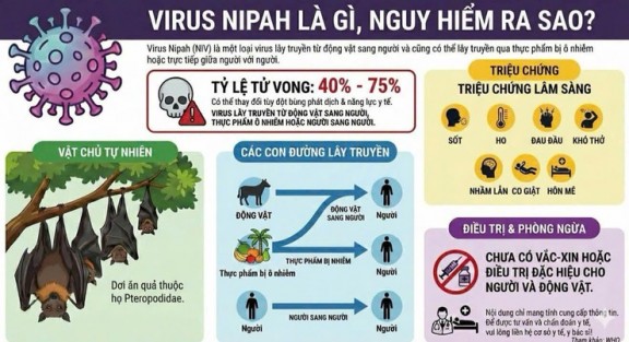 DỊCH BỆNH DO VI RÚT NIPAH VÀ KHUYẾN CÁO CỦA NGÀNH Y TẾ