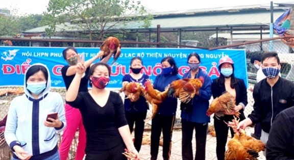 Người dân Hà Nội chung tay mua giải cứu gà đồi cho bà con Chí Linh, Hải Dương