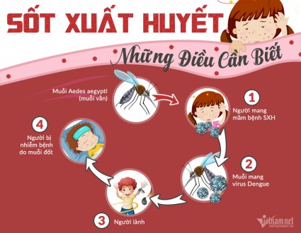 HƯỚNG DẪN PHÒNG, CHỐNG BỆNH SỐT XUẤT HUYẾT