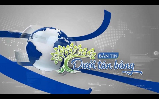 BẢN TIN DƯỚI TÁN BÀNG - Số 01