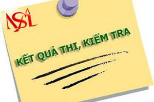 Kết quả vòng chung kết Olympic Toán quốc tế Thái Lan, TIMO 2020
